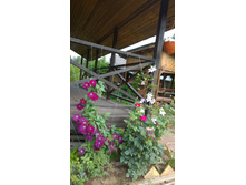 WP 20170721 09 25 40 Pro.jpg