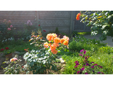 WP 20170820 09 41 51 Pro  highres.jpg