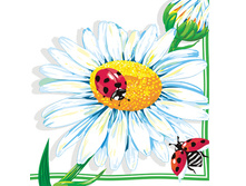 �������� �������� ����� ����������� 100�. ������� 22,50.jpg