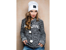 17067 �����