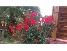 WP 20170730 10 47 35 Pro.jpg