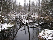 IMG 8034.JPG
