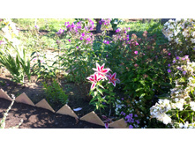 WP 20170910 09 04 39 Pro  highres.jpg