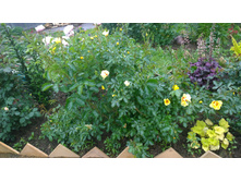 WP 20170702 12 48 25 Pro.jpg