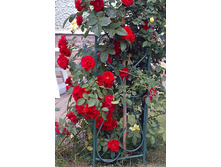 ���� ������� ����  180�