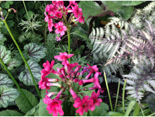 ������� ��������