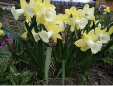 IMG 20170506 170555.jpg