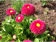 ����������