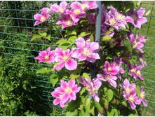 �������� �����