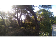 2017-10-22 09-15-40.JPG