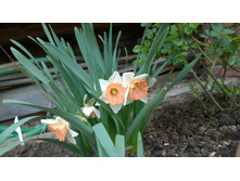 WP 20170521 16 19 29 Pro.jpg