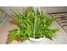 ���������� ������� - 400 ���.