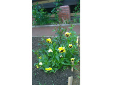 WP 20170702 12 49 49 Pro.jpg