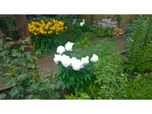 WP 20170701 15 20 36 Pro  highres.jpg