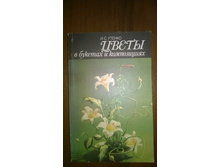 WP 20171029 15 15 13 Pro.jpg