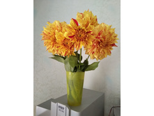 IMG 20170909 131205.jpg