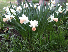 IMG 20170521 164340.jpg