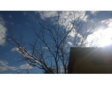 WP 20170514 16 25 42 Pro.jpg