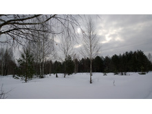 WP 20170224 12 55 35 Pro.jpg