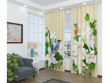 08569 ��������� ����� � ������.jpg