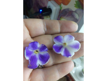 �-����� ����