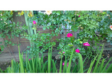 WP 20170716 18 51 49 Pro.jpg