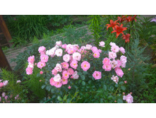 WP 20170730 10 43 00 Pro  highres.jpg