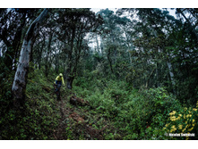 22861683 10213440468702470 8483659606546549573 o.jpg