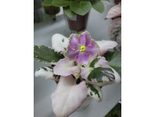 �-���������