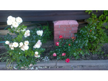 WP 20170712 18 41 05 Pro.jpg