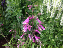 ��������� ������