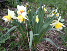 IMG 20170506 171143.jpg