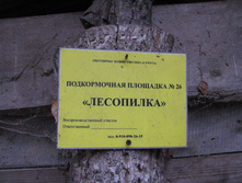 IMG 8101.JPG