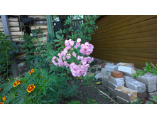 WP 20170914 11 28 35 Pro  highres.jpg