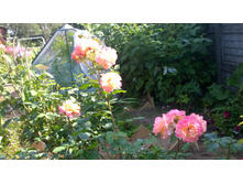 WP 20170820 09 47 22 Pro.jpg