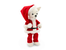 LUCKY OSCAR �����.jpeg