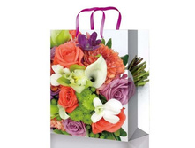 520577 ������� 4.jpg