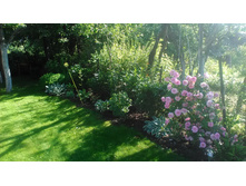 P 20170716 074038.jpg