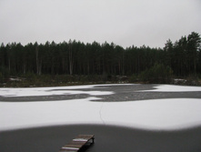IMG 8098.JPG