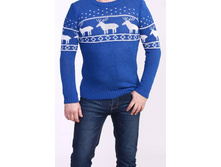 �� 016 ���� 495 ���.