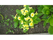 WP 20170527 09 48 47 Pro.jpg