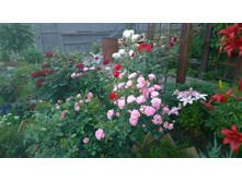 WP 20170728 20 23 26 Pro.jpg