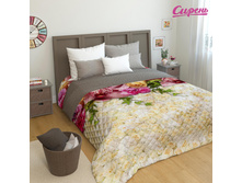 09236 "���� � �������"