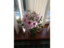 � ��� ����� .... � ������� � ������ , ��� ����� ������� ������ !!!!)