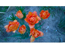 WP 20170520 19 45 13 Pro.jpg