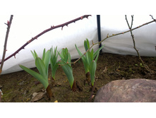 WP 20170409 11 54 29 Pro.jpg