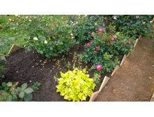 WP 20170709 12 35 27 Pro.jpg