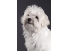 21476134 1556141504431984 986492384 n.jpg