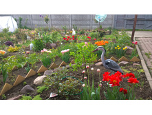 WP 20170527 09 50 50 Pro.jpg