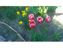 WP 20170528 16 16 20 Pro.jpg